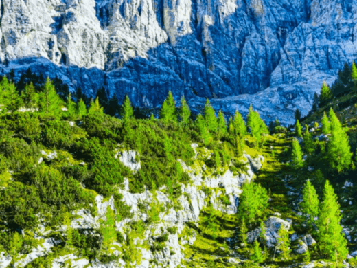Italy – Elegance & Harmony